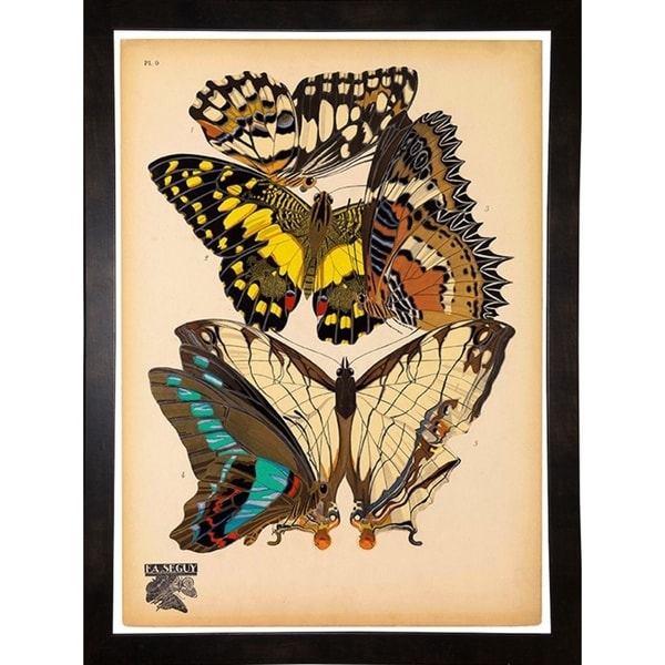 Butterflies Plate 14, E.A. Seguy-PRIPUB130824 Print 10"x7.25" by Print Collection
