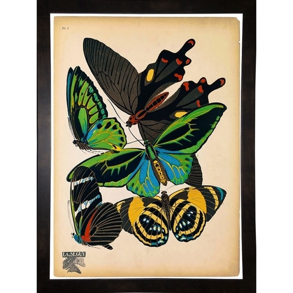 Butterflies Plate 1, E.A. Seguy-PRIPUB130819 Print 9.75"x7.25" by Print Collection