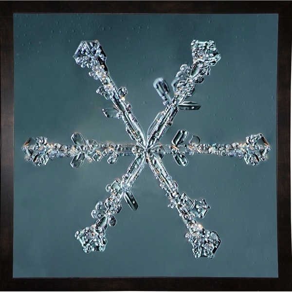 Stellar Dendrite Snowflake 004.2.14.2014-PRIPUB130905 Print 15"x15" by Print Collection