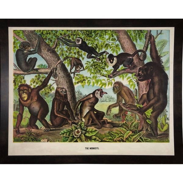 The Monkeys-PRIPUB130916 Print 21"x27" by Print Collection