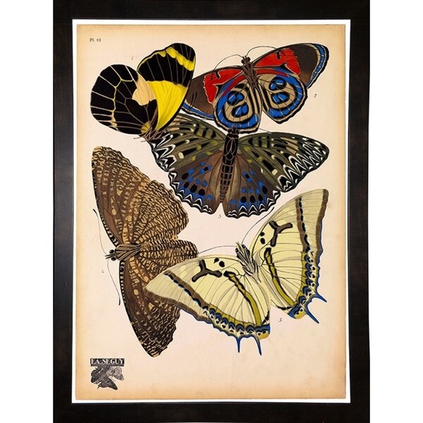 Butterflies Plate 3, E.A. Seguy-PRIPUB130827 Print 10"x7.25" by Print Collection