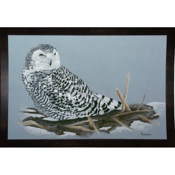Owl-RUSFRE1072 Print 23.25"x35" by Rusty Frentner