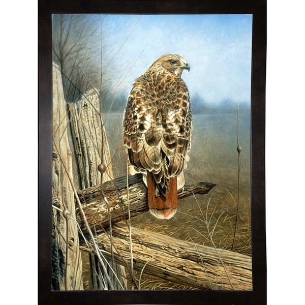 Red Tailed Hawk-RUSFRE62927 Print 41.75"x30.5" by Rusty Frentner
