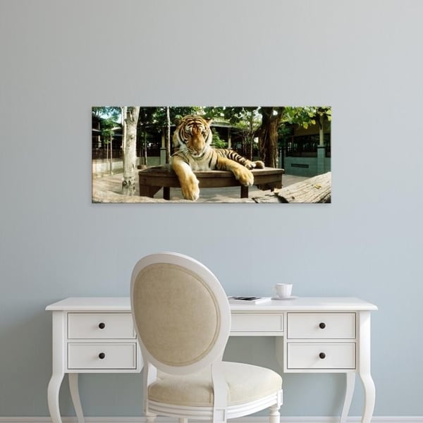 Easy Art Prints Panoramic Images's 'Tiger (Panthera tigris) in a tiger reserve, Tiger Kingdom, Chiang Mai, Thailand' Canvas Art