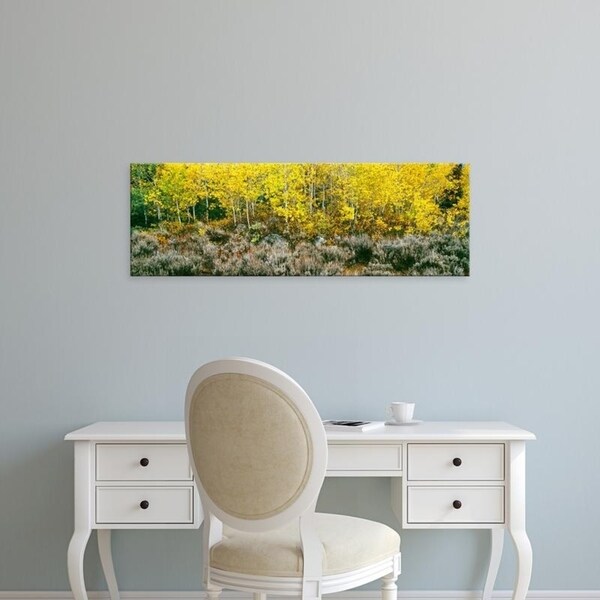 Easy Art Prints Panoramic Images's 'Aspen trees, Sagebrush, Lupine Meadows, Grand Teton National Park, Wyoming' Canvas Art