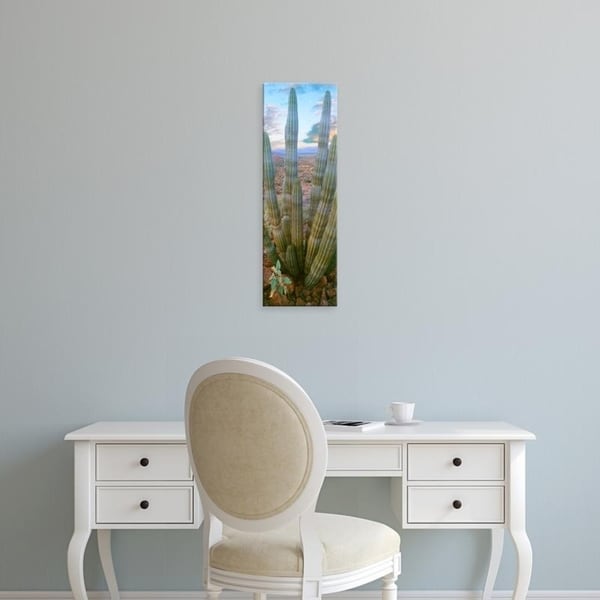 Easy Art Prints Panoramic Images's 'Pitaya cactus plant in desert, Mulege, Baja California Sur, Mexico' Premium Canvas Art