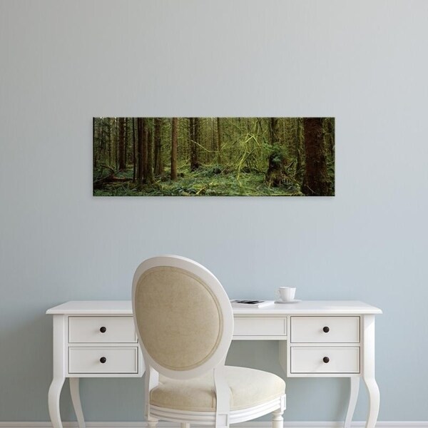 Easy Art Prints Panoramic Images's 'Trees in a forest, Hoh Rainforest, Olympic Peninsula, Washington State' Premium Canvas Art