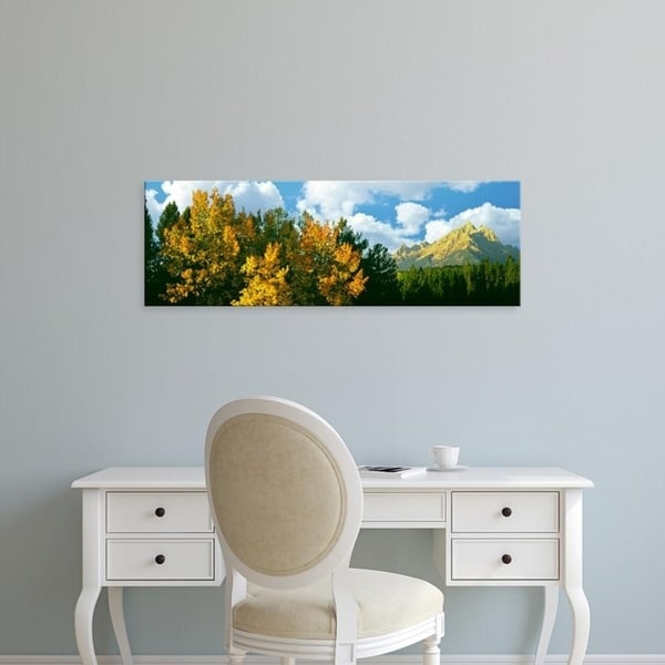 Easy Art Prints Panoramic Images's 'Aspen grove with mountains, Teton Range, Grand Teton National Park, Wyoming' Canvas Art