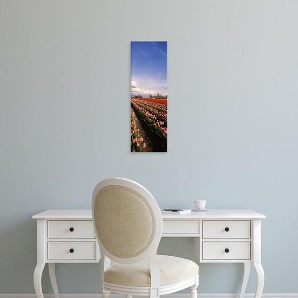 Easy Art Prints Panoramic Images's 'Tulips in a field, Skagit Valley, Washington State, USA' Premium Canvas Art