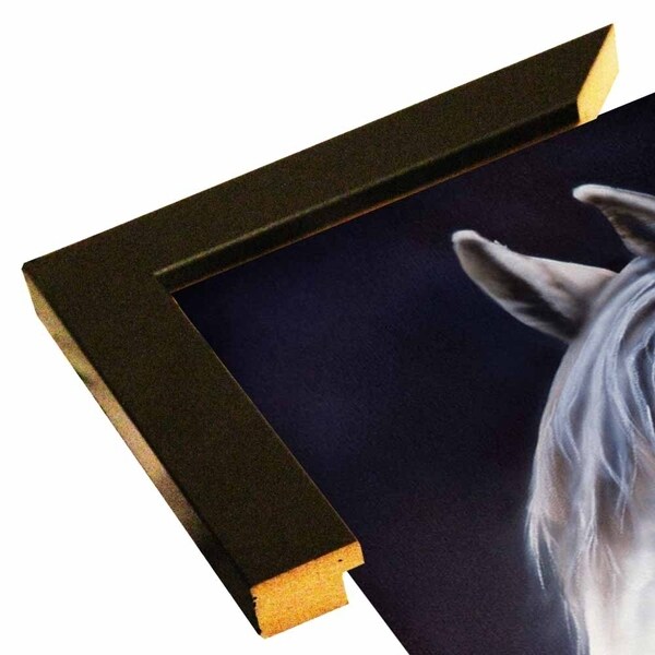 White Arabian Stallion-JENNEW126552 Print 18"x12" by Jenny Newland