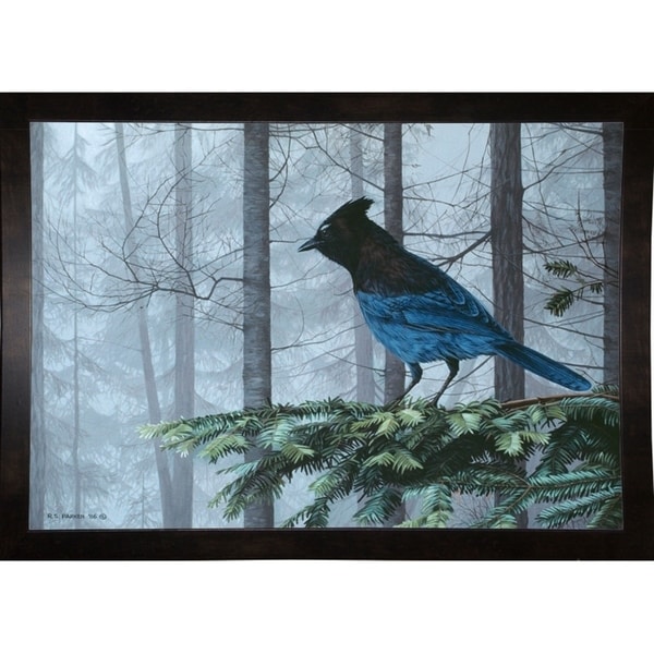 Stellers Jay In Fog-RONPAR10349 Print 22"x31.75" by Ron Parker