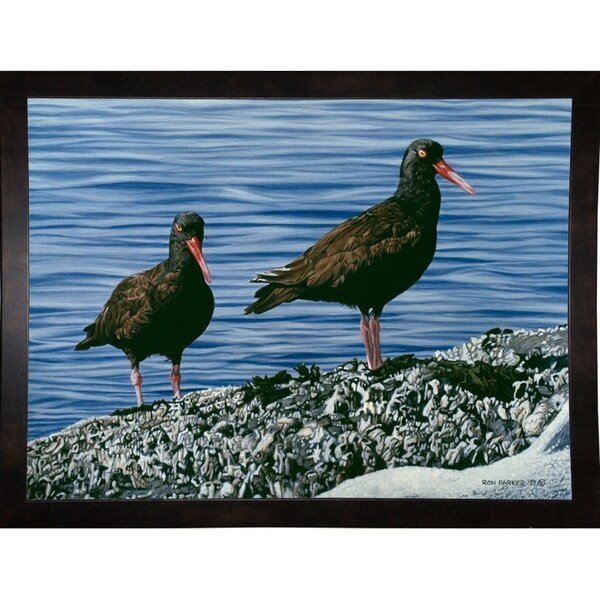 Oyster Catchers-RONPAR10325 Print 24"x32.25" by Ron Parker