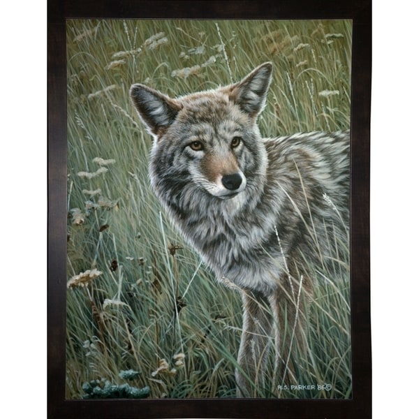 Coyote In The Grass-RONPAR10356 Print 35.75"x26.75" by Ron Parker
