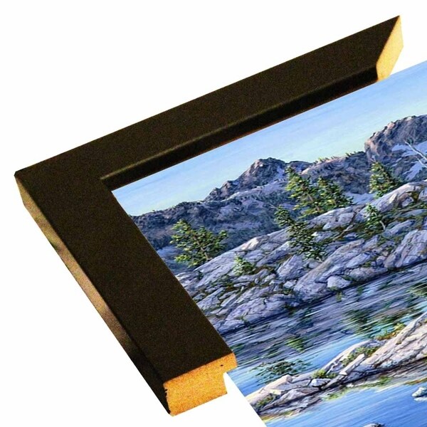 Black Bear-JEFTIF77775 Print 14"x24" by Jeff Tift