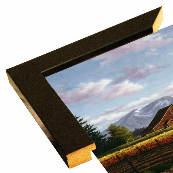 Palette Of Spring-RANVAN5564 Print 23"x39" by Randy Van Beek