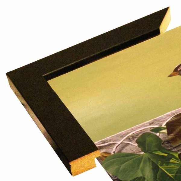 Morning Glory-RONPAR10433 Print 18.75"x14" by Ron Parker