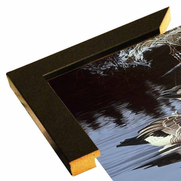 Spring Arrivals- Canada Geese-RONPAR10491 Print 24.5"x45" by Ron Parker