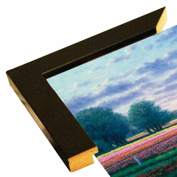 Celebration Of Spring-RANVAN5566 Print 21"x26.75" by Randy Van Beek