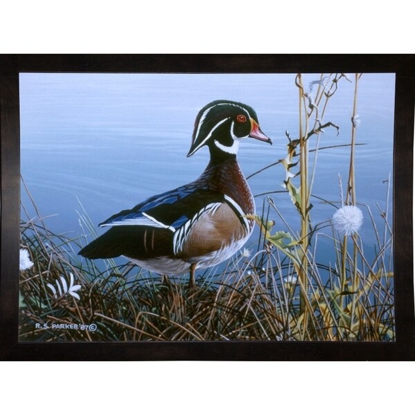 Duck At Waters Edge-RONPAR10465 Print 16"x22.25" by Ron Parker