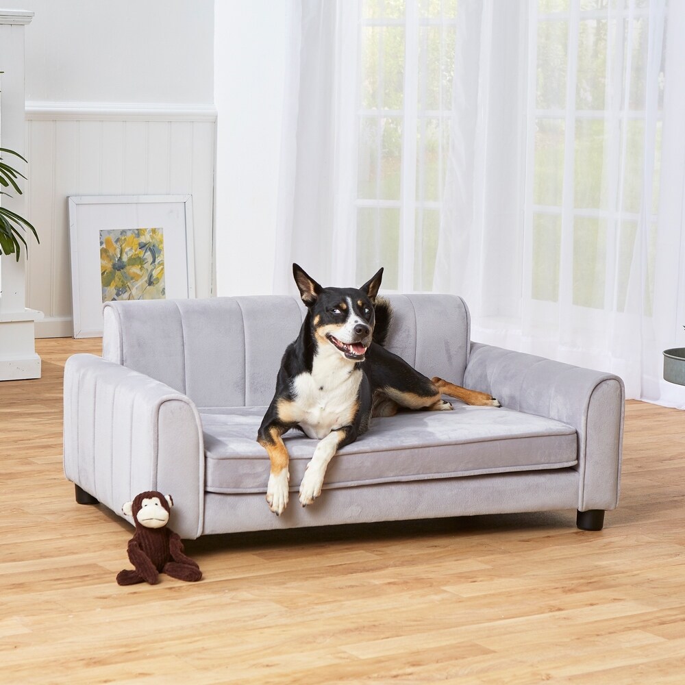 grey dog sofa bed