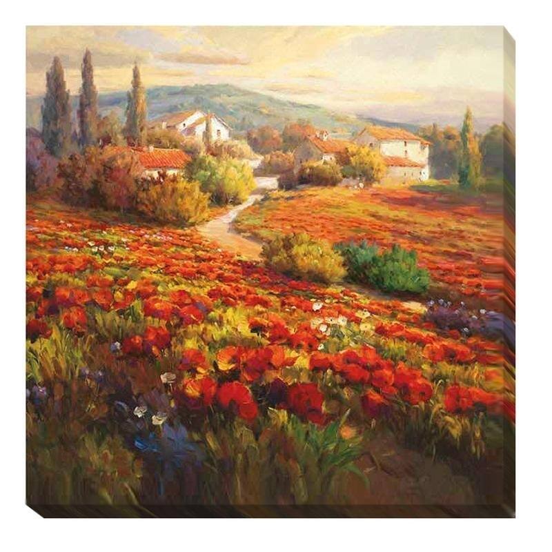 Poppy Fields by Roberto Lombardi Gallery Wrapped Canvas Giclee Art (18 in x 18 in, Ready to Hang)