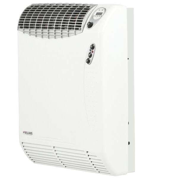Shop High Efficiency Direct Vent 17 700 Btu Lp 81 Afue Single Stag On Sale Overstock 24226476