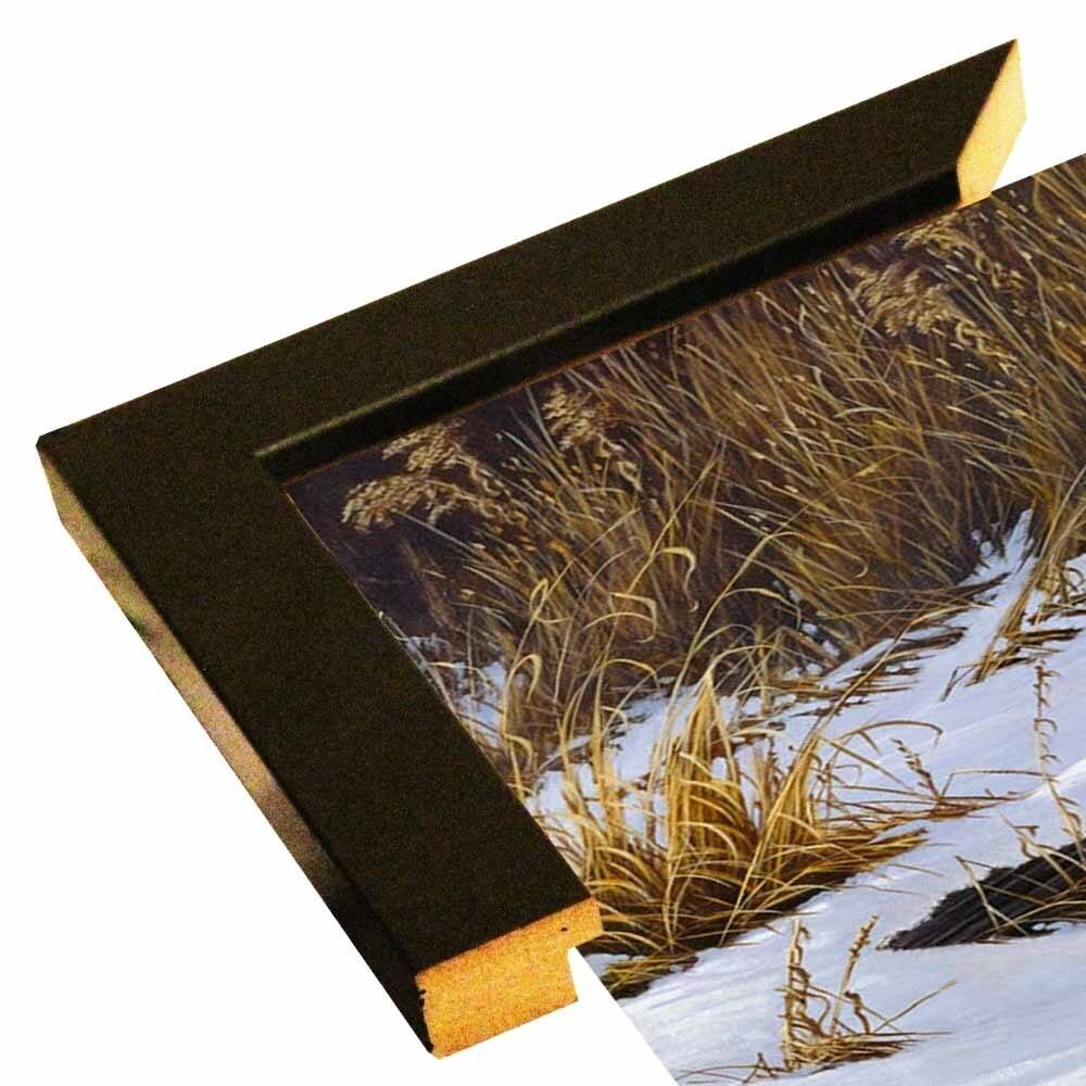 Fox Trot - Red Fox-WILGOE2766 Framed Print 23"x44" by Wilhelm Goebel