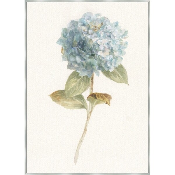 Garden Hydrangea Framed Canvas Wall Art - Bed Bath & Beyond - 24238736