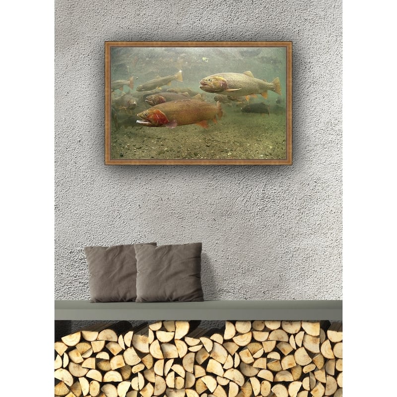 Cutthroat Trout Framed Canvas Wall Art - Bed Bath & Beyond - 24240295