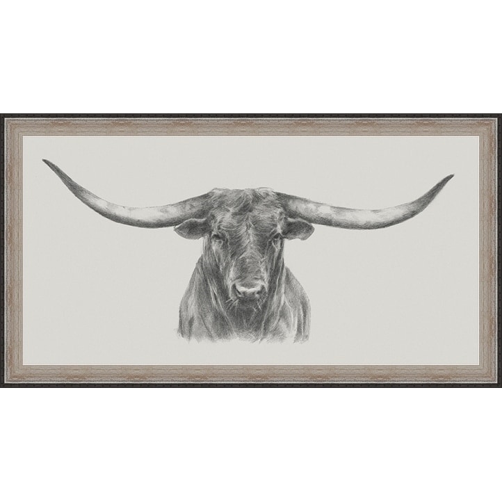 Longhorn Bull Framed Canvas Wall Art | eBay