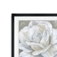 Bombshell Bloom II -Framed Giclee Print - Bed Bath & Beyond - 24250001