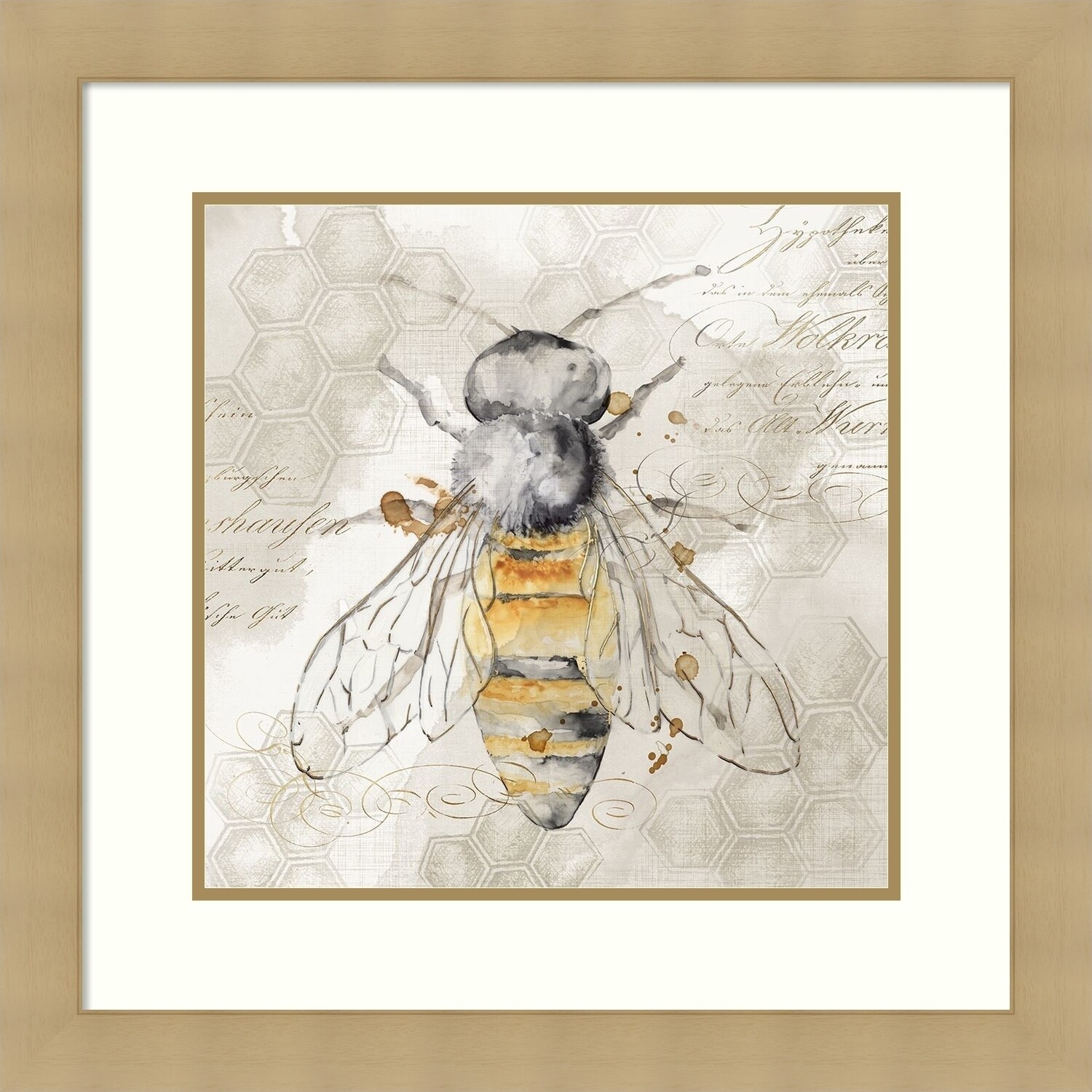 Shop Framed Art Print Queen Bee Ii By Eva Watts Outer Size 25 X