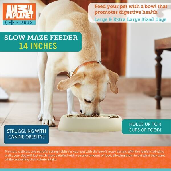 Shop Animal Planet 14 Inch Slow Maze Feeder Free Shipping On