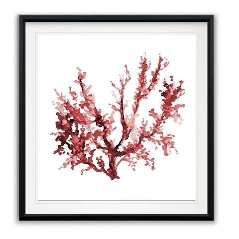 Sea Coral III -Framed Giclee Print