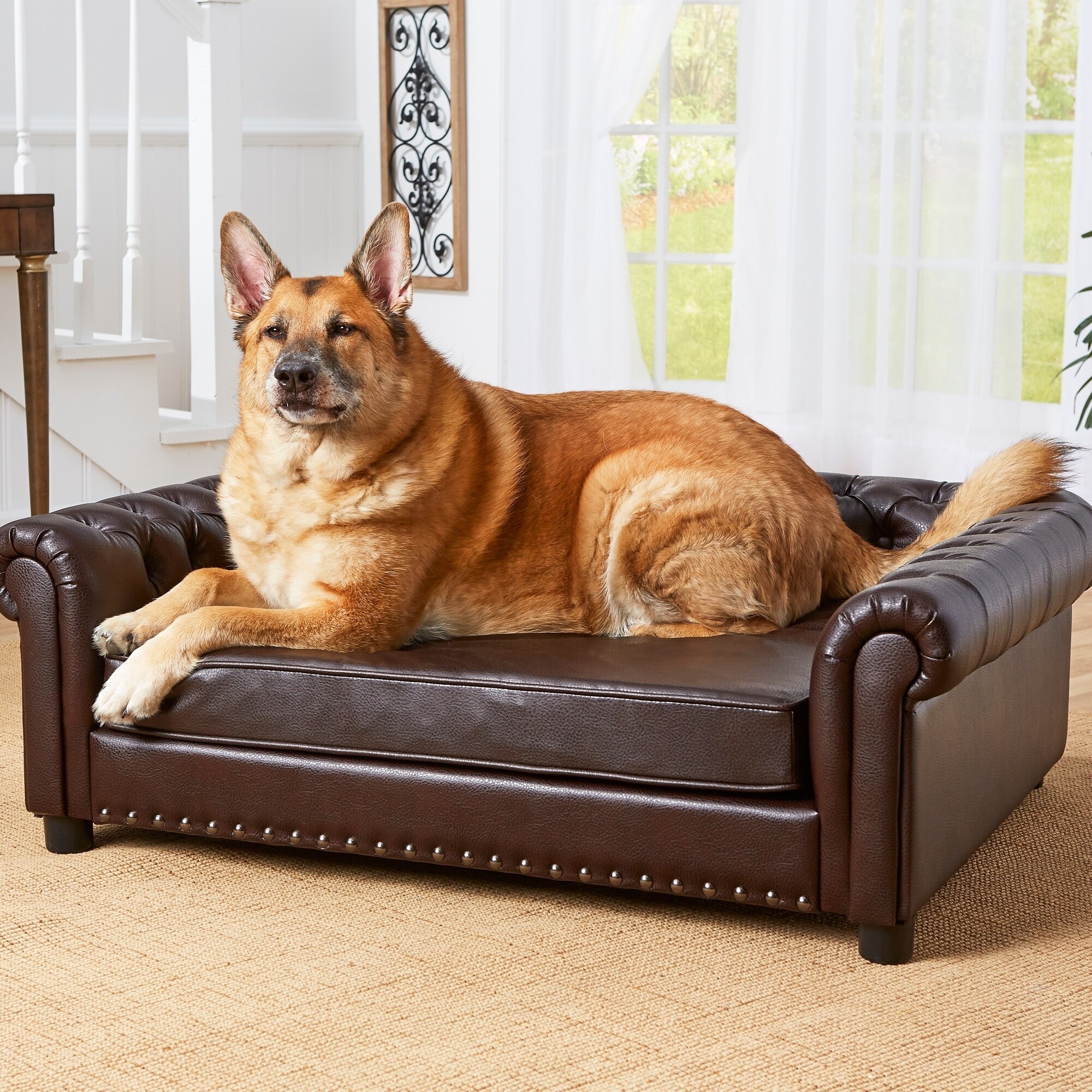 enchanted pet beds