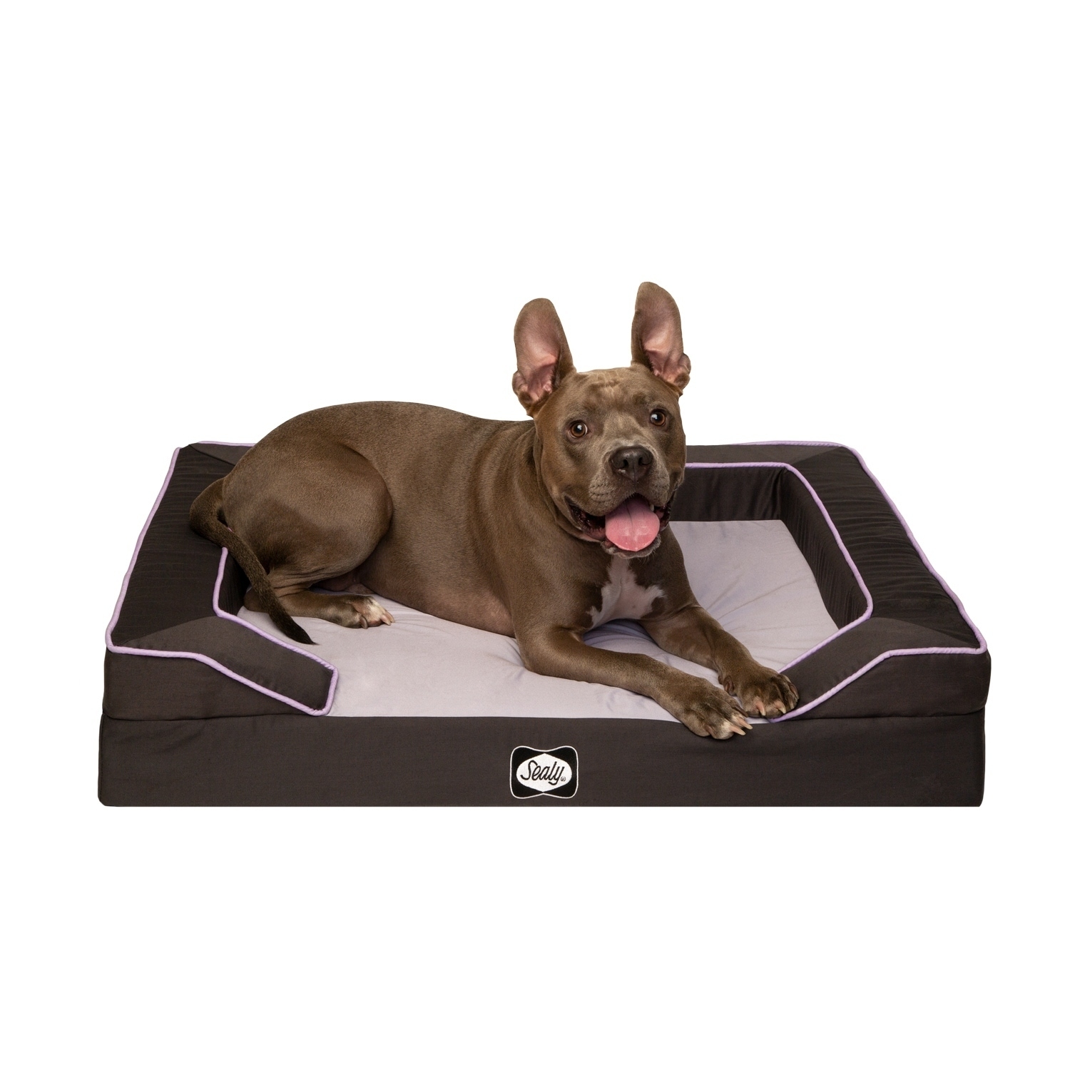 その他 Sealy Dog Bed Sealy Dog Bed Pet Dog Bed | Quad Layer Technology with