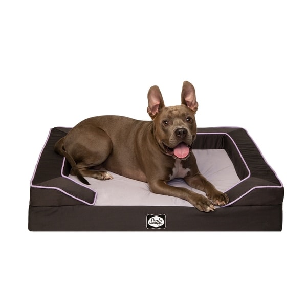 Sealy lux premium orthopedic dog clearance bed