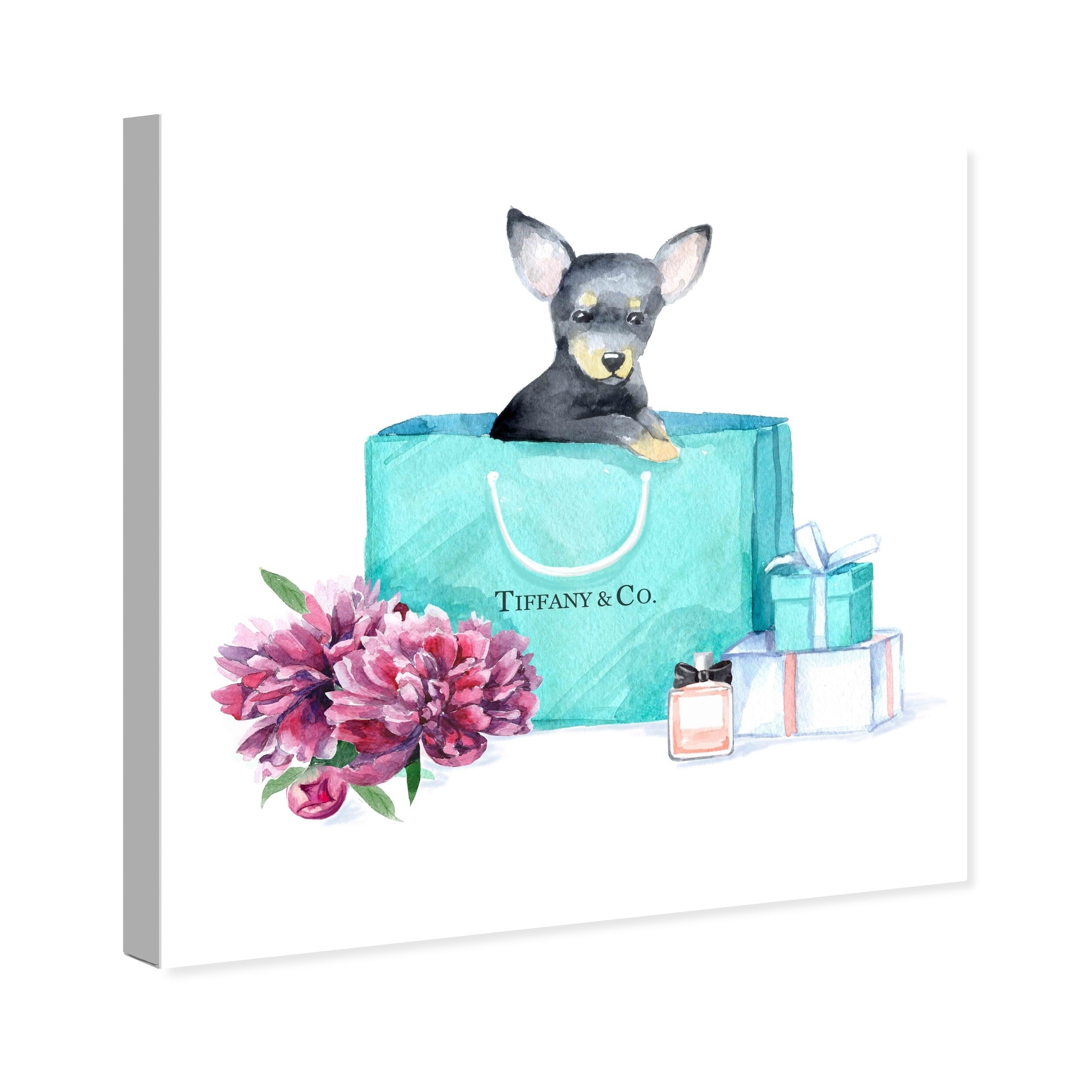 新品 オリバーガル OliverGal ACQUA CHIC CHIHUAHUA 新品 オリバーガル OliverGal ACQUA CHIC CHIHUAHUA Oliver Gal