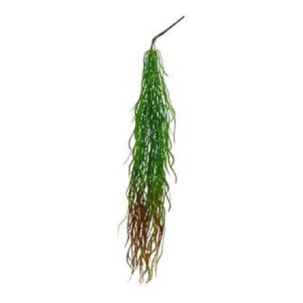 Cascading grass and seeds