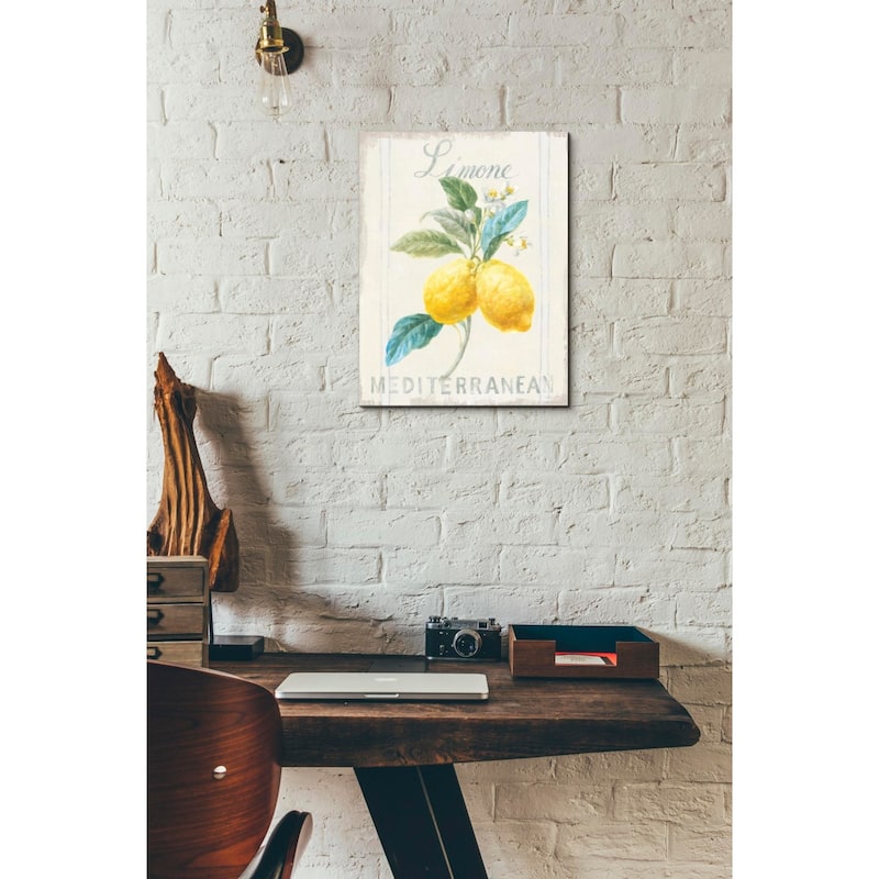Epic Graffiti "Floursack Lemon III" by Danhui Nai, Giclee Canvas Wall Art, 12"x16"