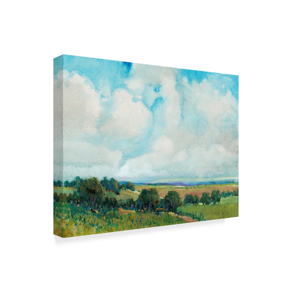Tim Otoole 'Looming Clouds I' Canvas Art