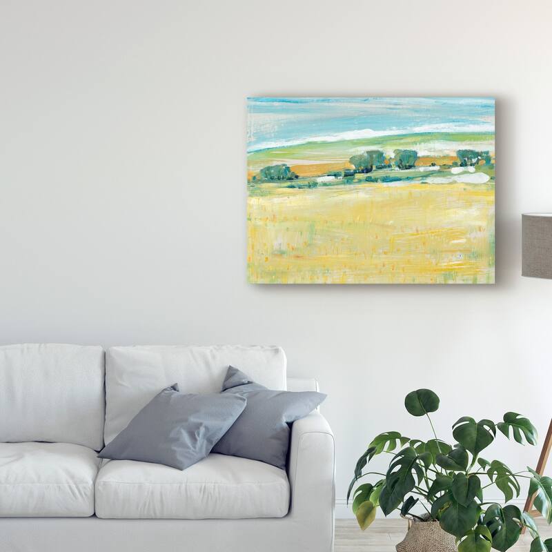 Tim Otoole 'Summer Heat I' Canvas Art