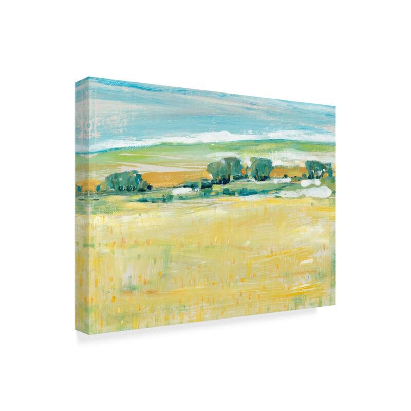 Tim Otoole 'Summer Heat I' Canvas Art