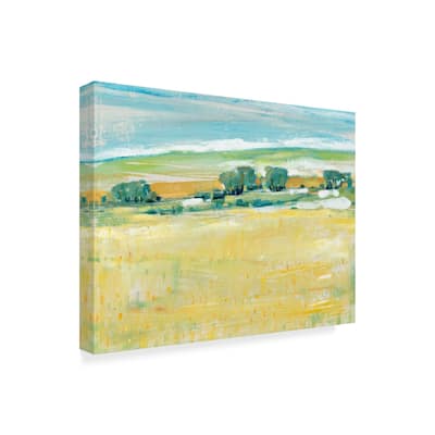 Tim Otoole 'Summer Heat I' Canvas Art