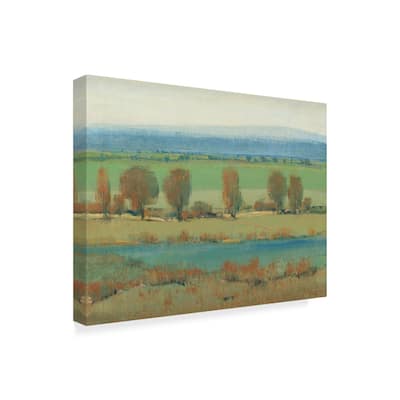 Tim Otoole 'Flat Terrain I' Canvas Art