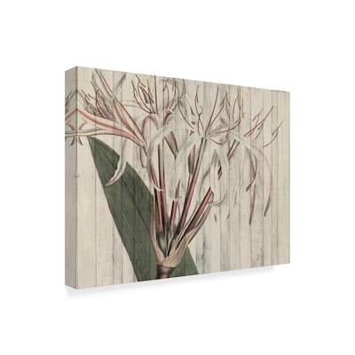 Studio W 'Rustic Floral I' Canvas Art