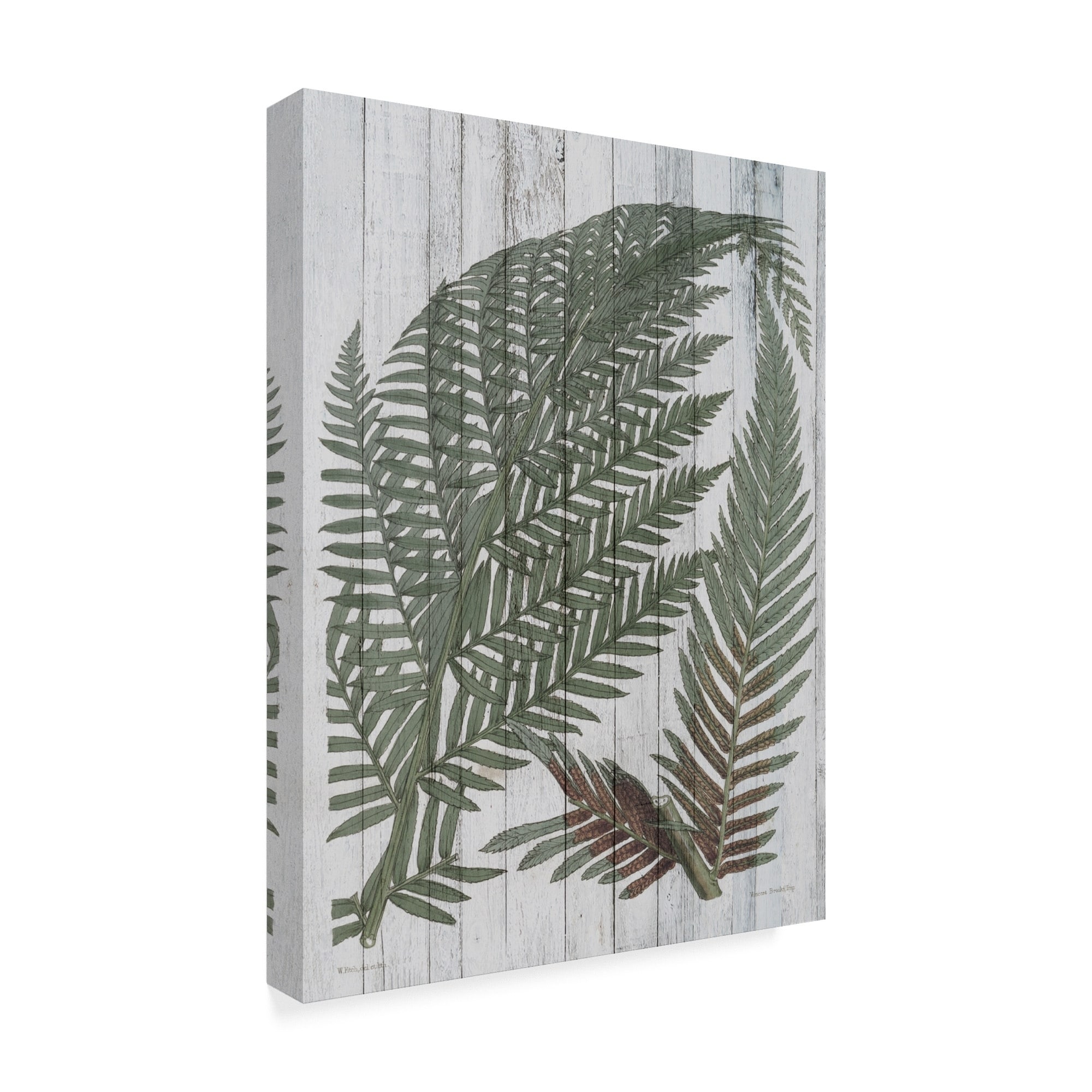 Studio W 'Rustic Greenery I' Canvas Art