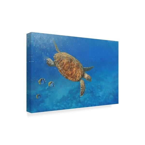 Michael Jackson 'Large Sea Turtle' Canvas Art - Bed Bath & Beyond ...