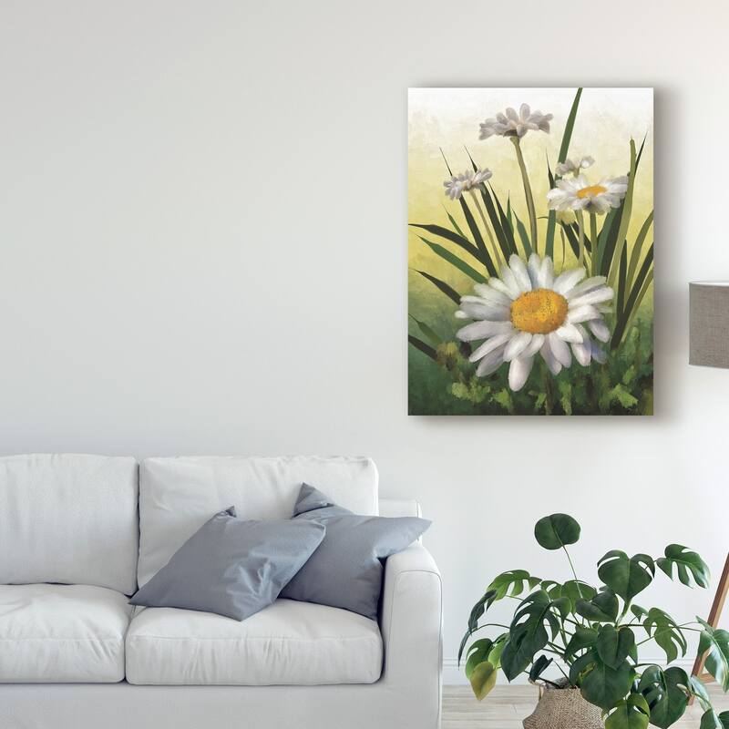 Lois Bryan 'Spring Daisies' Canvas Art - On Sale - Bed Bath & Beyond ...