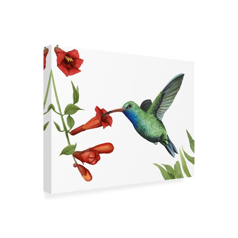 Grace Popp 'Hummingbird And Flower I' Canvas Art - Bed Bath & Beyond ...